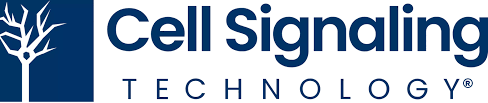 Cell Signaling Technology